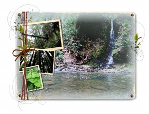Cover of 2010 Digital Photo Album